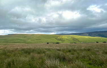 Fototapeta na wymiar Yorkshire Dales moorland, with heavy clouds, wild plants, grassland, and distant hills near, Appletreewick, UK