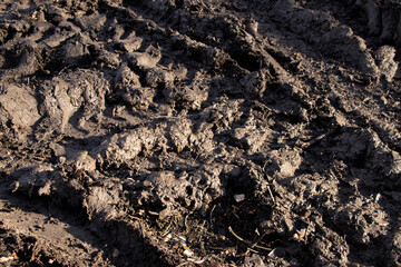 Wet soil on a road in Ukraine during the day in the sun as a background