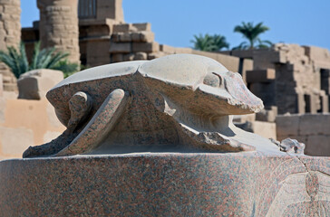 Skarabäus im Karnak-Tempel, Luxor, Ägypten