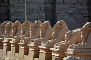 Sphingen im Karnak-Tempel, Luxor, &Auml;gypten
