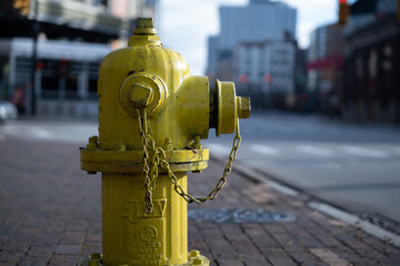 yellow fire hydrant in the city