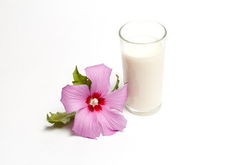 Obraz na płótnie Canvas Glass of milk for breakfast