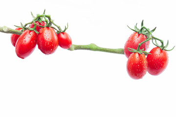 Cherry Tomatoes: Freshness and Elegance in Isolation