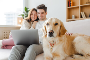 Young couple hugging dog, golden retriever, using laptop, online shopping, sitting on sofa at home
