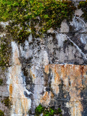 Feuchte Eisenbahnbrücke