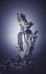 Bottle with clean water and flowers