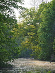 Alter Eiderkanal Kiel