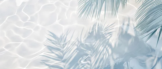 Foto op Plexiglas Top view of tropical leaf shadow on water surface. Shadow of palm leaves on white sand beach. Beautiful abstract background concept banner for summer vacation at the beach. © Viks_jin