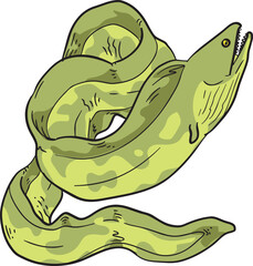 Eel Sea Wild Animal Vector Illustration
