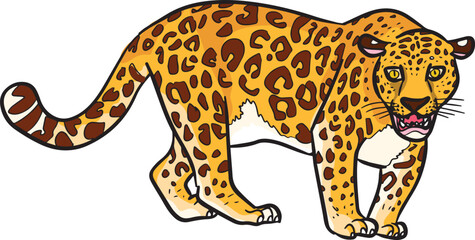 Jaguar Leopard Wild Animal Vector Illustration
