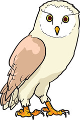Owl Bird Wild Animal Vector Illustration