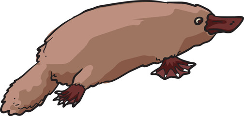 Platipus Mammals Wild Animal Vector Illustration