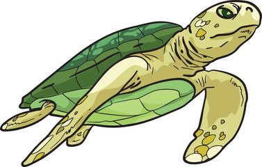 Turtle Sea Wild Animal Vector Illustration