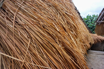 Thatched roof of Sasak tribe traditional house in Sade village, Lombok island, Indonesia. Close up