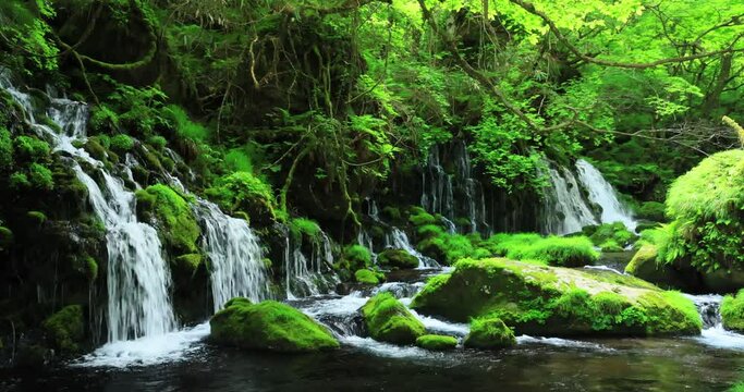 元滝伏流水　秋田県