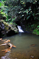 Small Waterfall Amid Black Volcanic Rock And Tropical Plants