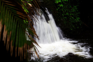 Waterfall Big Island Hawaii With Green Plants