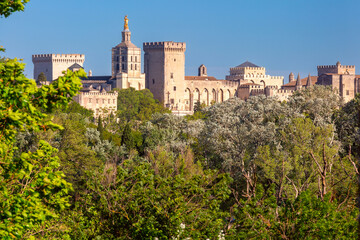Obraz premium Sunny Avignon Cathedral in Avignon, southern France