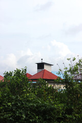 swallow's nest in the middle of the mangroves