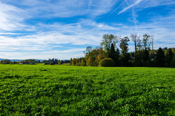 Meadow landscape with blue sky in autumn - Sempach, Switzerland