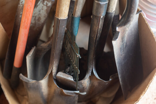 Group of gardening tools