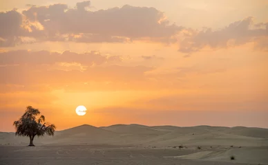 Gordijnen desert in the emirates for background © serhii