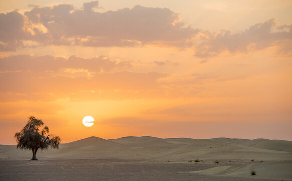 desert in the emirates for background