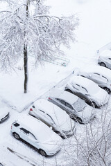 Cars under snow on a street parking after snowfall and blizzard. Car covered snow, cold snowy...