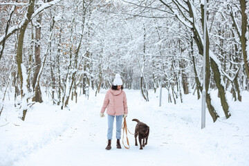 Fototapeta na wymiar Woman walking with adorable Labrador Retriever dog in snowy park