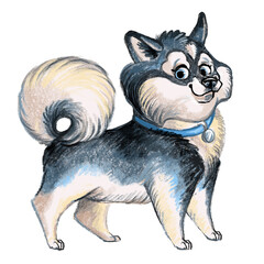 Cute character funny cartoon Alaskan Klee Kai dog isolated illustration