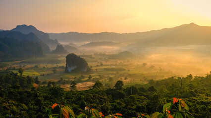 Sunrise with fog and mist at Phu Langka mountains in Northern Thailand, Mountain View of Phu Lanka