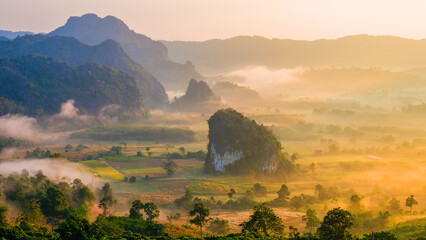 Sunrise with fog and mist at Phu Langka mountains in Northern Thailand, Mountain View of Phu Lanka - obrazy, fototapety, plakaty