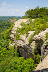 A view of a hilltop at Red River Gorge Kentucky