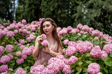 Fototapeta premium Hydrangeas Happy woman in pink dress amid hydrangeas. Large pink hydrangea caps surround woman. Sunny outdoor setting. Showcasing happy woman amid hydrangea bloom.