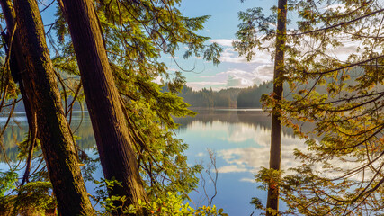 Fleecy clouds reflected on placid lake waters as viewed from a BC lakeside forest trail on a misty...