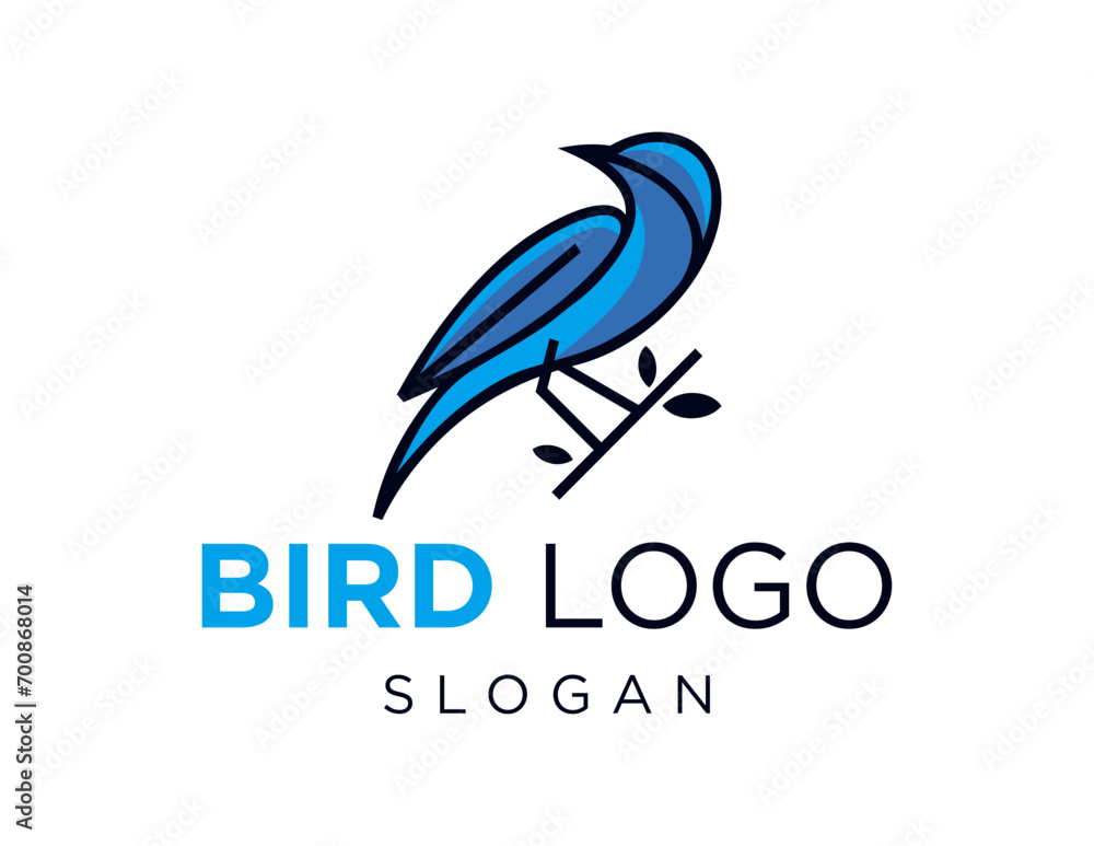 Poster the logo design is about bird and was created using the corel draw 2018 application with a white bac