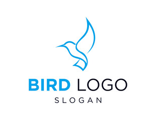 The logo design is about Bird and was created using the Corel Draw 2018 application with a white background.