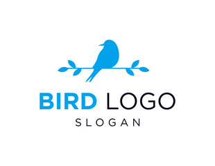 The logo design is about Bird and was created using the Corel Draw 2018 application with a white background.
