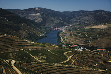 Douro Valley, Portugal village nestled among vineyards. - obrazy, fototapety, plakaty