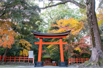 Usa shrine in Japan