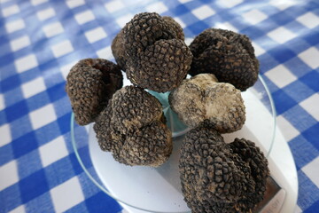 Expensive black truffles collected on weighing scale