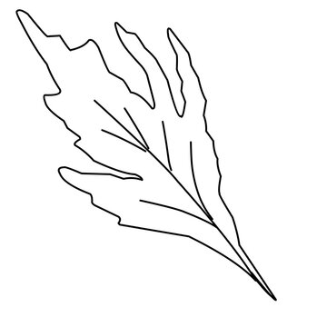 Bunga poppy. Sketsa dalam garis, gambar tangan bebas. Ilustrasi vektor, latar belakang musim panas, padang rumput bunga.
