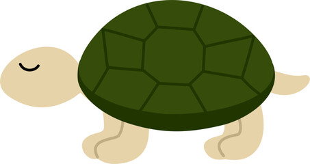 cute turtle cartoon animal