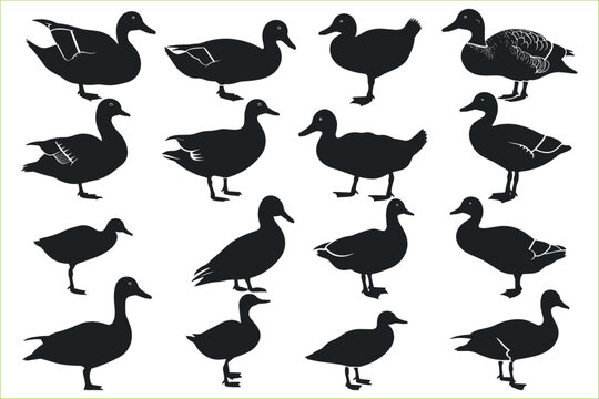 Duck silhouette icon set vector