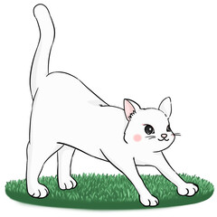 잔디 위의 고양이