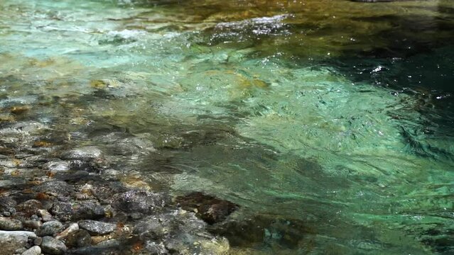 エメラルドグリーンの清流　三重県　熊野市　大又川