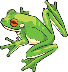 Frog Wild Animal Vector Illustration