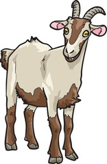 Goat Mammals Wild Animal Vector Illustration