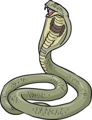 Fototapeta premium King Cobra Snake Wild Animal Vector Illustration