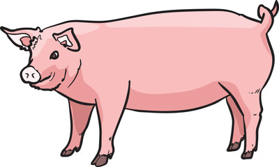 Pig Mammals Wild Animal Vector Illustration